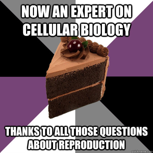 now an expert on cellular biology thanks to all those questions about reproduction  Asexual Cake