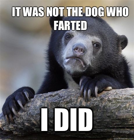 It was not the dog who farted I did  Confession Bear