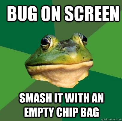  bug on screen Smash it with an empty chip bag  Foul Bachelor Frog