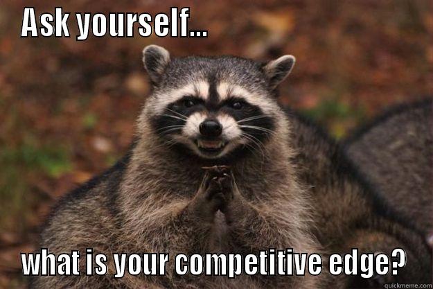 Feeling competitive?  - ASK YOURSELF...                                    WHAT IS YOUR COMPETITIVE EDGE? Evil Plotting Raccoon