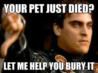 Your pet just died? let me help you bury it  Downvoting Roman