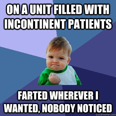 On a unit filled with incontinent patients farted wherever I wanted, nobody noticed  Success Kid
