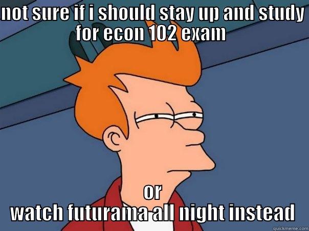 NOT SURE IF I SHOULD STAY UP AND STUDY FOR ECON 102 EXAM  OR WATCH FUTURAMA ALL NIGHT INSTEAD Futurama Fry