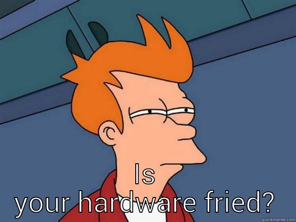  IS YOUR HARDWARE FRIED? Futurama Fry