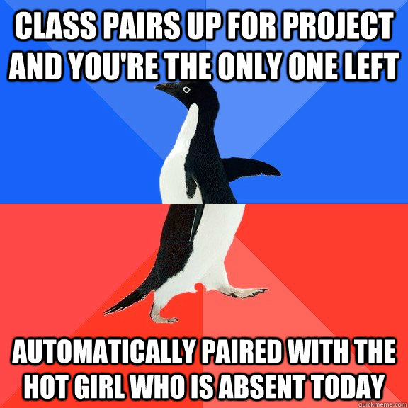 Class pairs up for project and you're the only one left automatically paired with the hot girl who is absent today  Socially Awkward Awesome Penguin