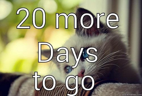 20 days  - 20 MORE DAYS TO GO  First World Problems Cat