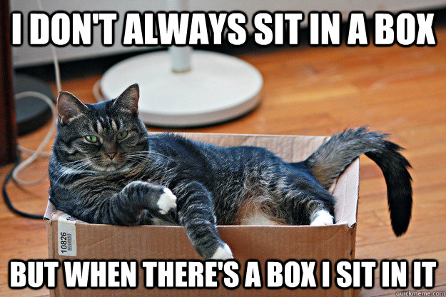 I don't always sit in a box but when there's a box I sit in it  Box Cat