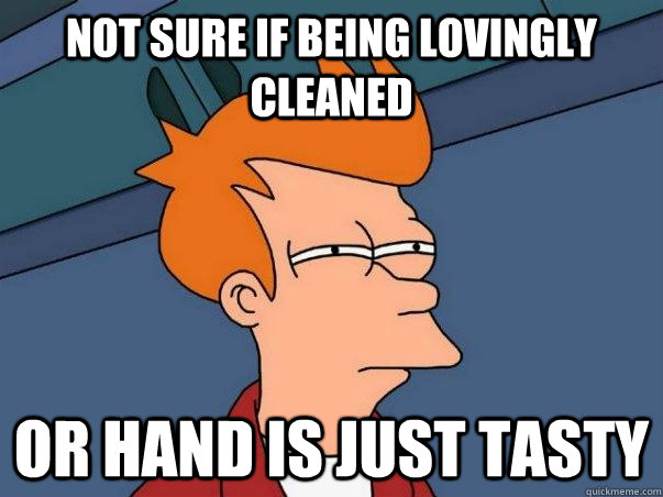 Not sure if being lovingly cleaned or hand is just tasty  Not sure if deaf