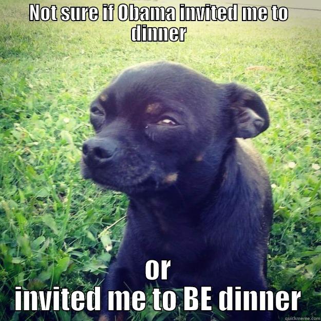 NOT SURE IF OBAMA INVITED ME TO DINNER OR INVITED ME TO BE DINNER Skeptical Dog