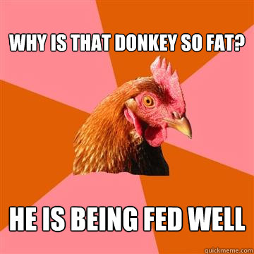 
WHY IS THAT DONKEY SO FAT?
 HE IS BEING FED WELL  Anti-Joke Chicken