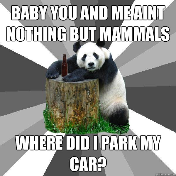 baby you and me aint nothing but mammals where did I park my car?  Pickup-Line Panda