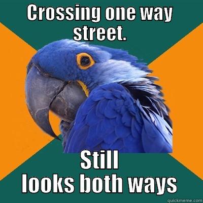 CROSSING ONE WAY STREET. STILL LOOKS BOTH WAYS Paranoid Parrot