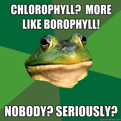 Chlorophyll?  More like Borophyll! Nobody? Seriously?  Foul Bachelor Frog