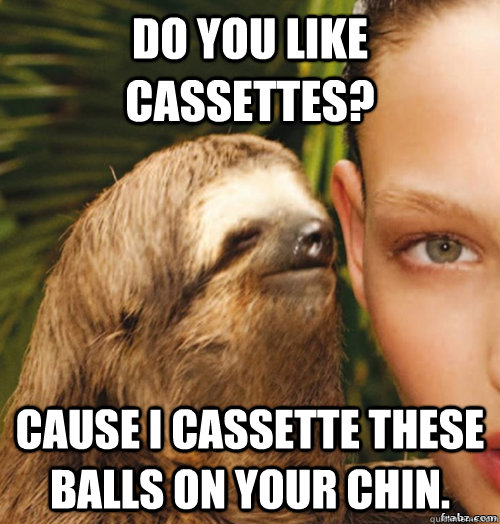 Do you like cassettes? Cause I cassette these balls on your chin.  rape sloth