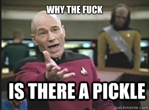 Why the fuck Is there a pickle  Annoyed Picard