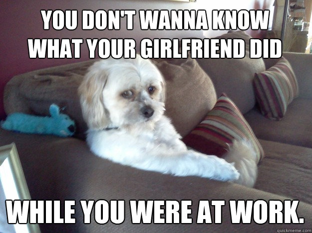 You don't wanna know what your girlfriend did while you were at work. - You don't wanna know what your girlfriend did while you were at work.  Disappointed Doggy