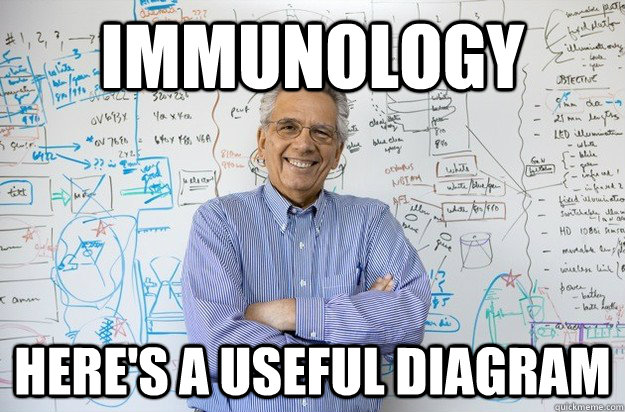 Immunology Here S A Useful Diagram Engineering Professor Quickmeme