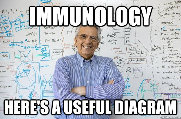 Immunology here's a useful diagram  Engineering Professor