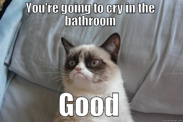 YOU'RE GOING TO CRY IN THE BATHROOM GOOD Grumpy Cat