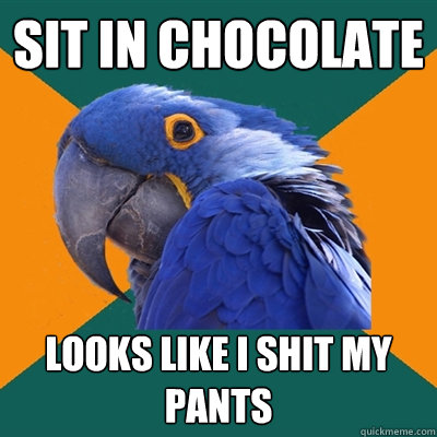 Sit in chocolate looks like i shit my pants  Paranoid Parrot