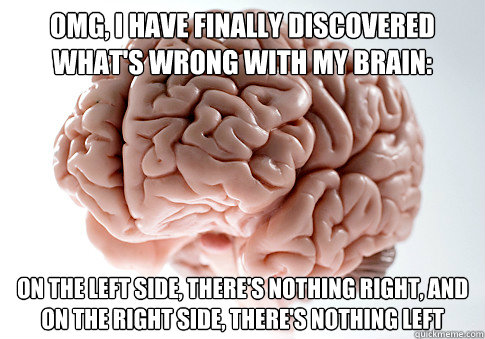 OMG, I have finally discovered what's wrong with my brain: on the left side, there's nothing right, and on the right side, there's nothing left  Scumbag Brain