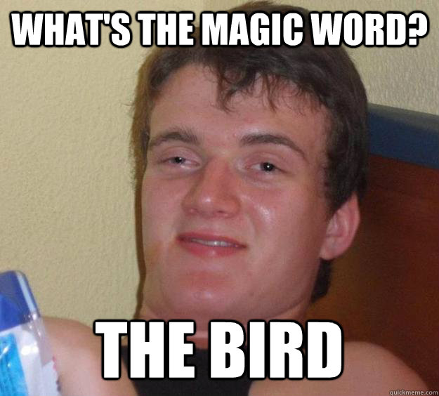 What's the magic word? the bird - What's the magic word? the bird  10 Guy