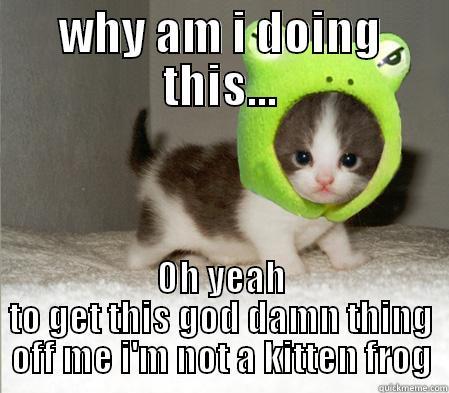 WHY AM I DOING THIS... OH YEAH TO GET THIS GOD DAMN THING OFF ME I'M NOT A KITTEN FROG Misc