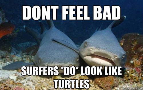 dont feel bad surfers *do* look like turtles  Compassionate Shark Friend