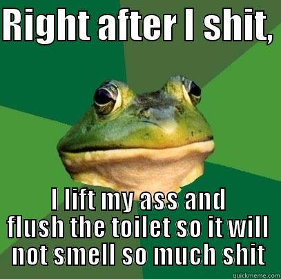 RIGHT AFTER I SHIT,  I LIFT MY ASS AND FLUSH THE TOILET SO IT WILL NOT SMELL SO MUCH SHIT Foul Bachelor Frog