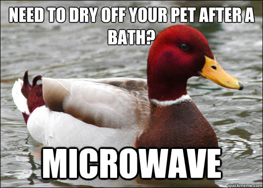 Need to dry off your pet after a bath?
 Microwave - Need to dry off your pet after a bath?
 Microwave  Malicious Advice Mallard