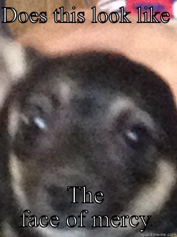 DOES THIS LOOK LIKE  THE FACE OF MERCY Misc