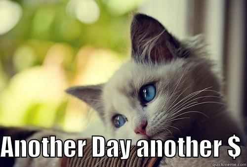  ANOTHER DAY ANOTHER $ First World Problems Cat
