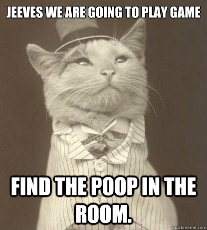 Jeeves we are going to play game Find the poop in the room.  Aristocat