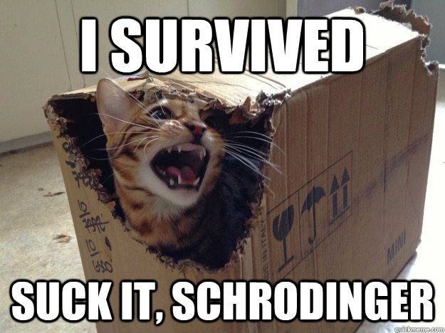 I survived suck it, Schrodinger - I survived suck it, Schrodinger  schrodinger cat