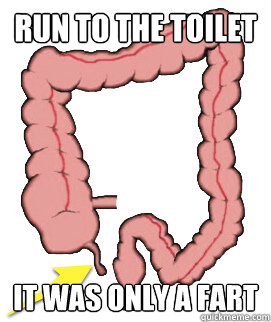 Run To The Toilet It Was Only A Fart  Scumbag Bowels