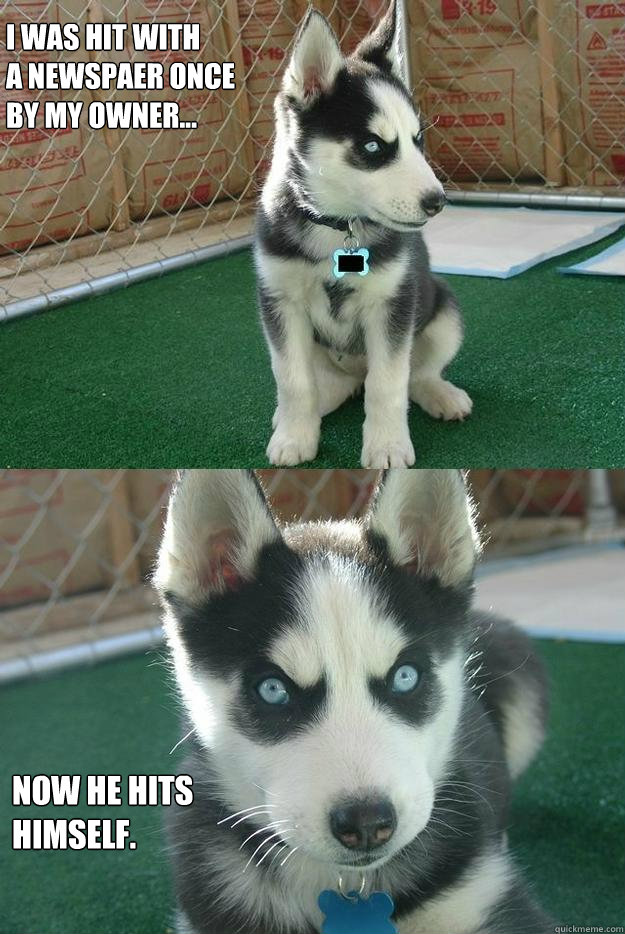 I was hit with 
a Newspaer once
by my owner... Now He hits
himself.  Insanity puppy
