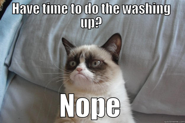 HAVE TIME TO DO THE WASHING UP? NOPE Grumpy Cat