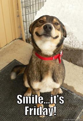  SMILE...IT'S FRIDAY! Good Dog Greg