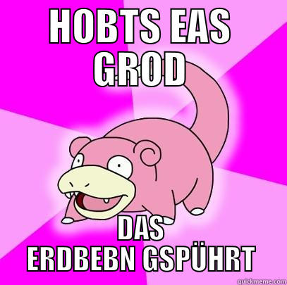 HOBTS EAS GROD DAS ERDBEBN GSPÜHRT Slowpoke