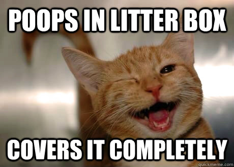 Poops in litter box covers it completely  - Poops in litter box covers it completely   GoodGuyCat