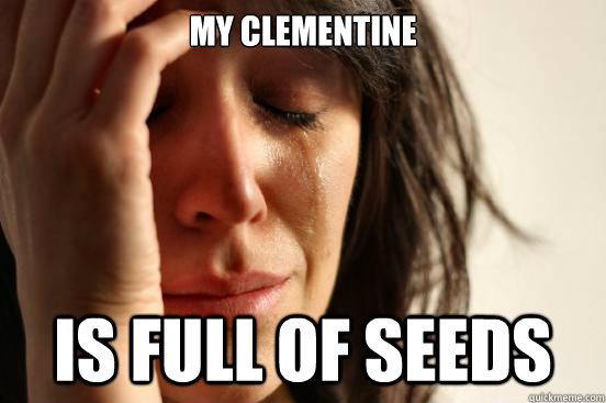 My clementine is full of seeds  First World Problems