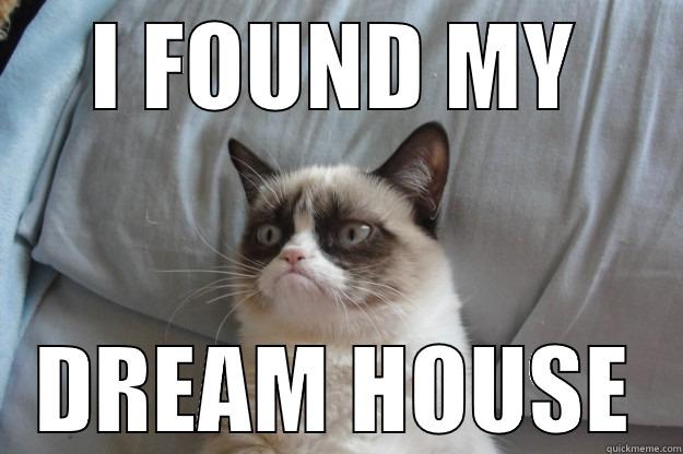 grumpy cat i found my dream house - I FOUND MY DREAM HOUSE Grumpy Cat