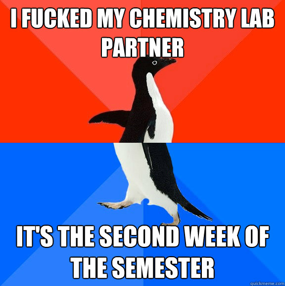 I fucked my chemistry lab partner it's the second week of the semester  Socially Awesome Awkward Penguin