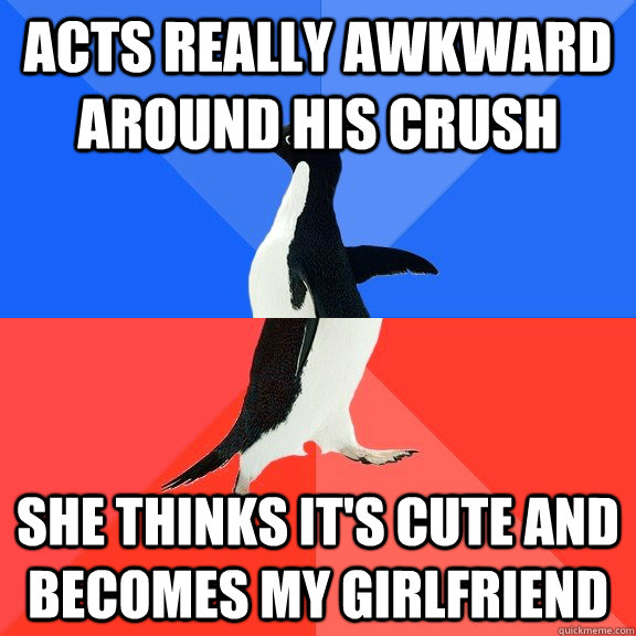 acts really awkward around his crush She thinks it's cute and becomes my girlfriend  Socially Awkward Awesome Penguin