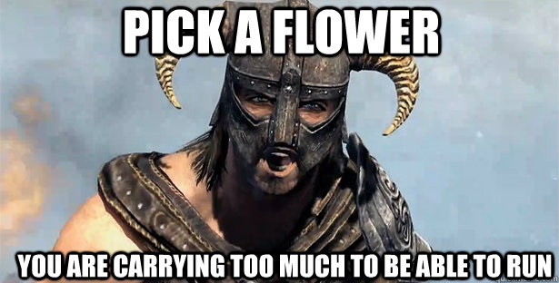 pick a flower you are carrying too much to be able to run - pick a flower you are carrying too much to be able to run  skyrim