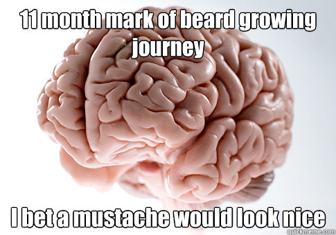 11 month mark of beard growing journey I bet a mustache would look nice   Scumbag Brain