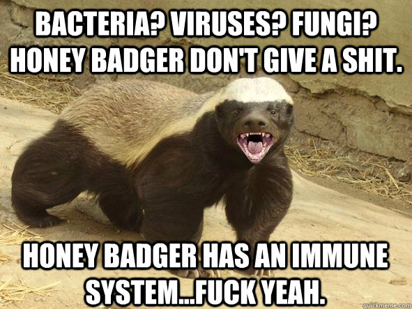 Bacteria? Viruses? Fungi? Honey badger don't give a shit. Honey badger has an immune system...fuck yeah.  