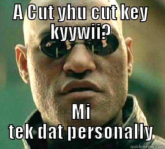 A CUT YHU CUT KEY KYYWII? MI TEK DAT PERSONALLY Matrix Morpheus