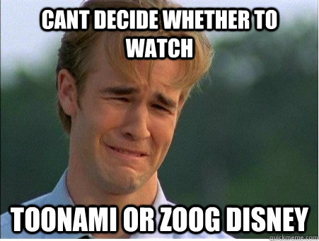 Cant decide whether to watch Toonami or Zoog Disney  1990s Problems