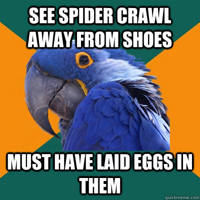 See spider crawl away from shoes Must have laid eggs in them  Paranoid Parrot